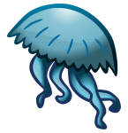 jellyfish - coloured